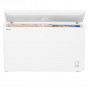 Congelatore Orizzontale Hisense FC403D4AW1 Classe Efficienza Energetica A+ 307 Lt