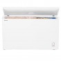 Congelatore Orizzontale Hisense FC403D4AW1 Classe Efficienza Energetica A+ 307 Lt