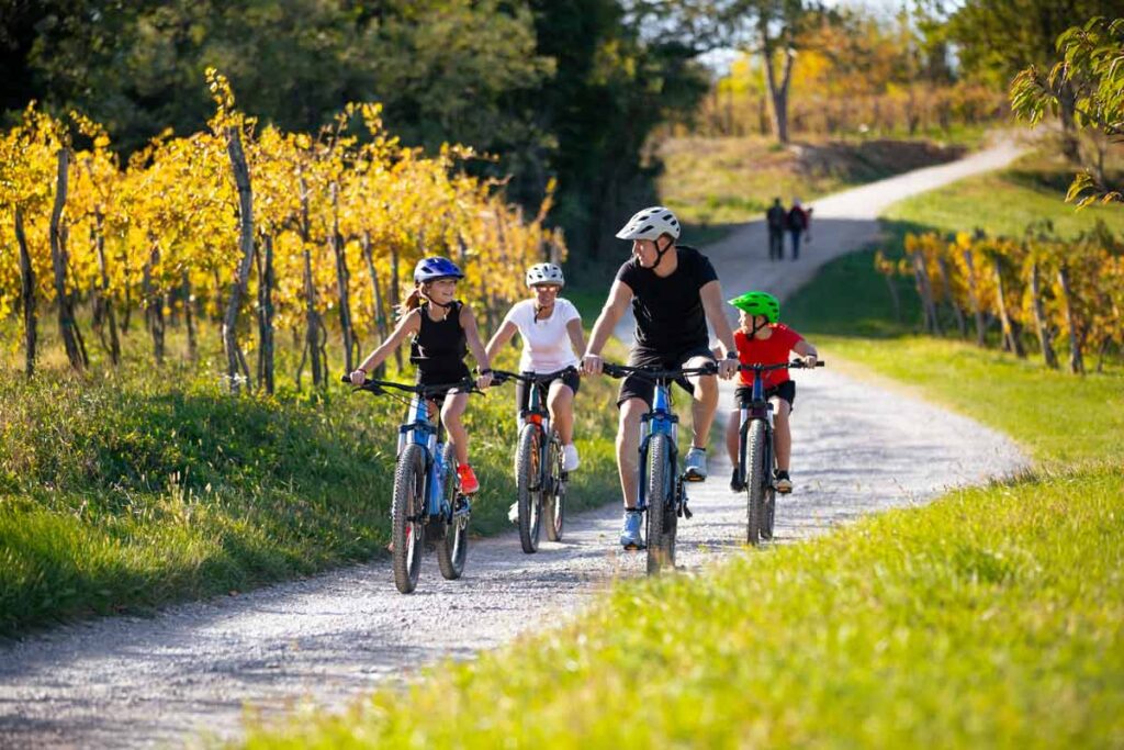 bici elettrica per tutta la famiglia bici elettrica per tutta la famiglia