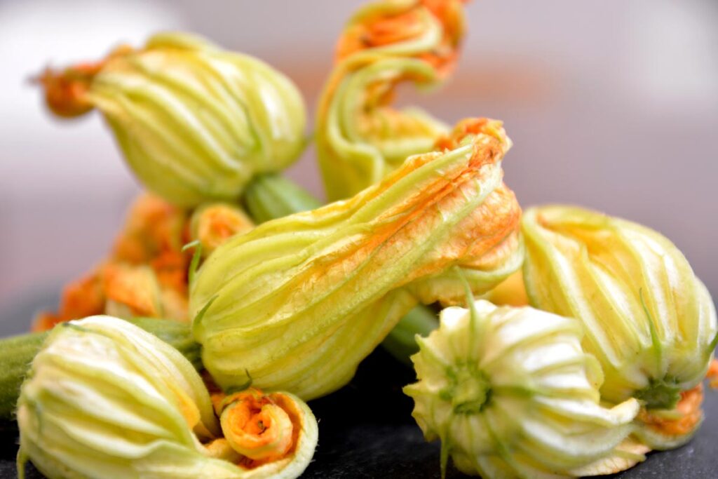 fiori di zucca fiori di zucca