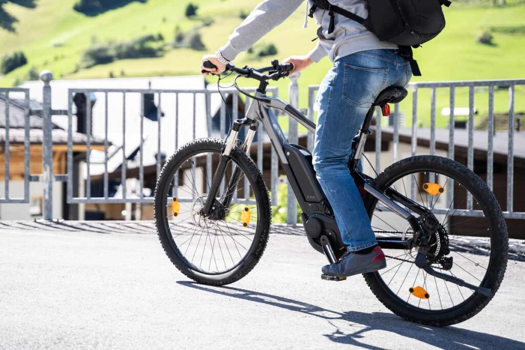 bici elettrica regole