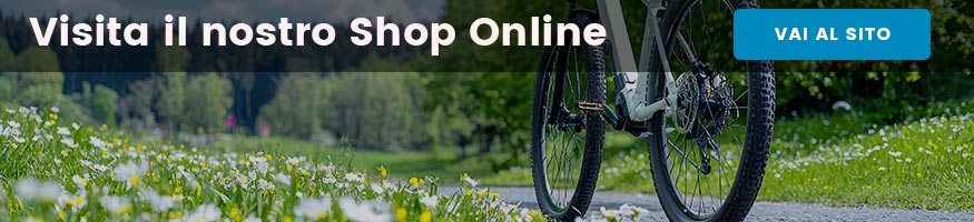 promozioni bici elettriche